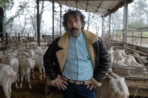 “Animal”, la serie española de Netflix que lidera el Top 10 en la Argentina