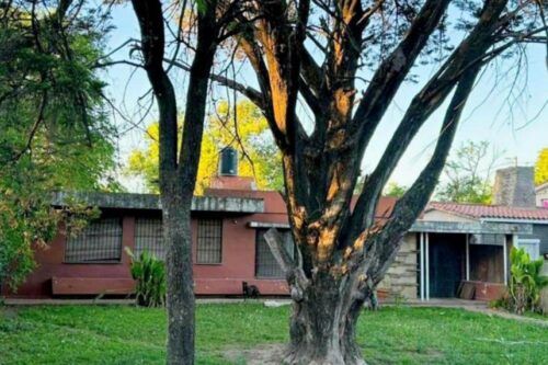 Doble femicidio: el impacto del odio y la misoginia como política de Estado