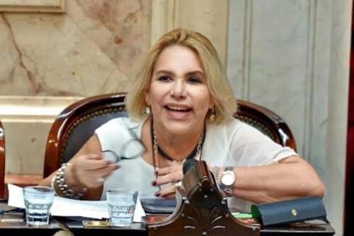 Evento antivacunas en el Congreso: la diputada del PRO que llevó pseudociencia y escándalo a Diputados - Image 3