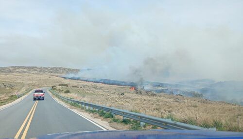 Combaten un impresionante incendio en el Parque Nacional Quebrada del Condorito en Córdoba
