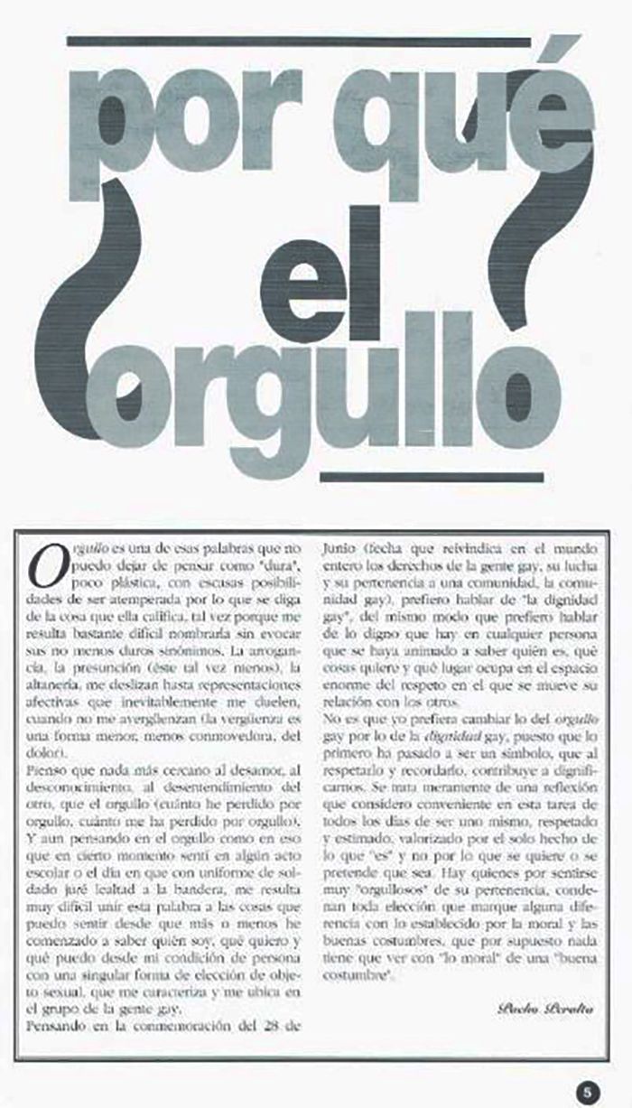 Después del fuego: las primeras Marchas del Orgullo en Buenos Aires