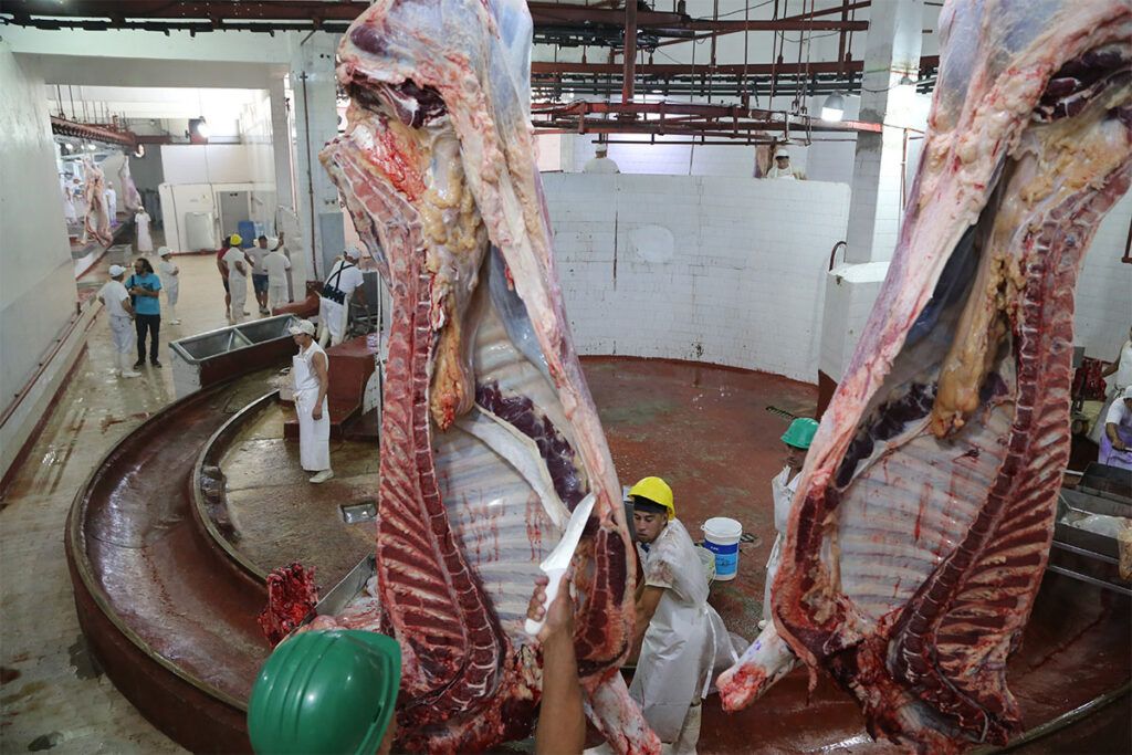 Despidos masivos y cierres en el país de los industriales sin industria