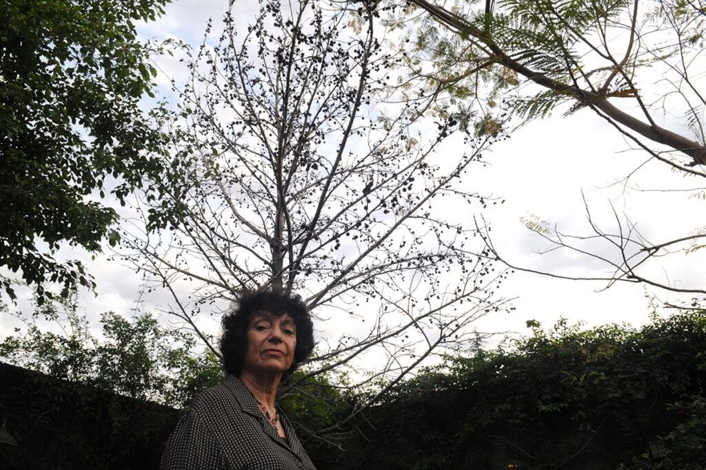 Luisa Valenzuela: homenaje y el lanzamiento de la Biblioteca con su nombre