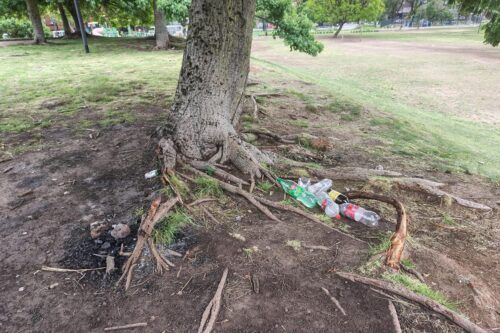 Descontrol en Parque Vuelta de Obligado: asados pegado a los árboles, mugre, sexo y fiestas nocturnas