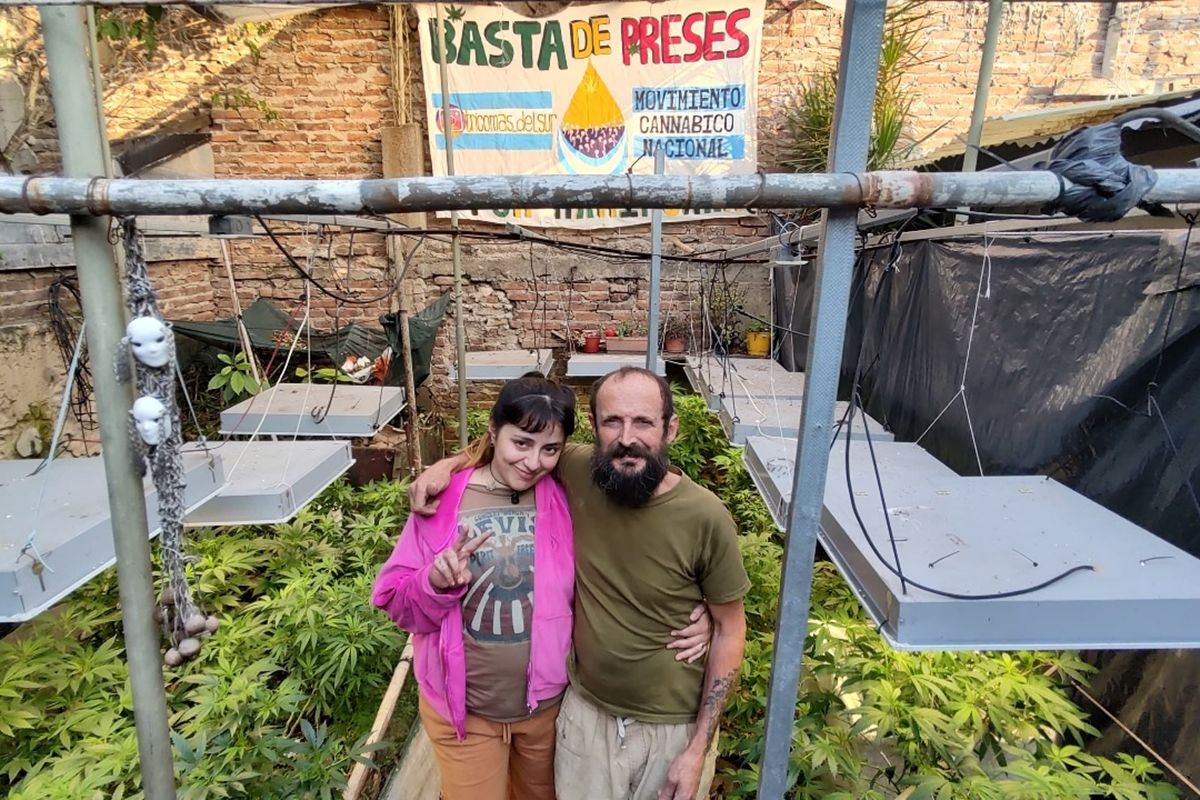 Presta su casa para que los presos por cultivar marihuana cumplan sus domiciliarias 1 Presta su casa para que los presos por cultivar marihuana cumplan sus domiciliarias