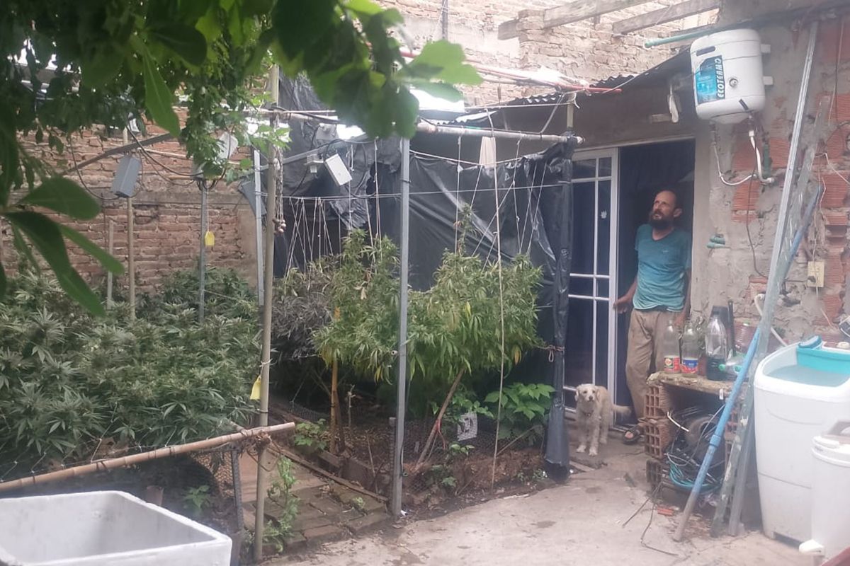 Presta su casa para que los presos por cultivar marihuana cumplan sus domiciliarias 2 Presta su casa para que los presos por cultivar marihuana cumplan sus domiciliarias