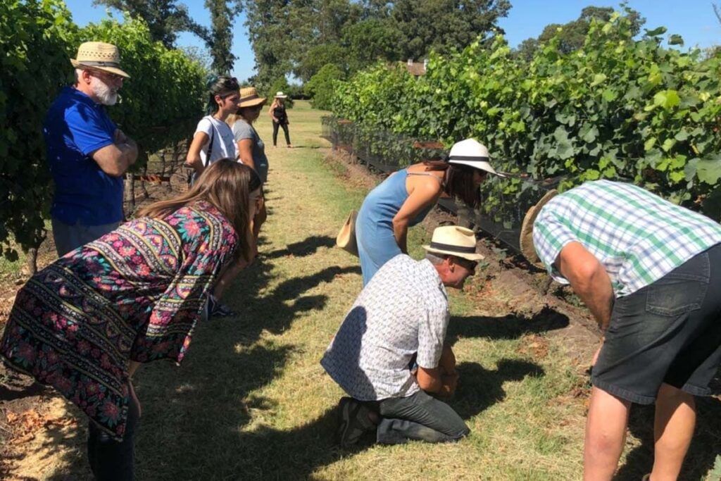 Enoturismo, una actividad presente en 17 provincias argentinas 1 Enoturismo, una actividad presente en 17 provincias argentinas