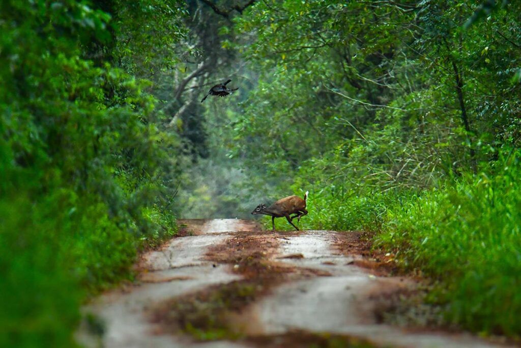 Las estrategias para atraer al turismo en lo que queda del año