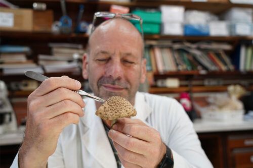 Bernardo Lechner, el detective de hongos
