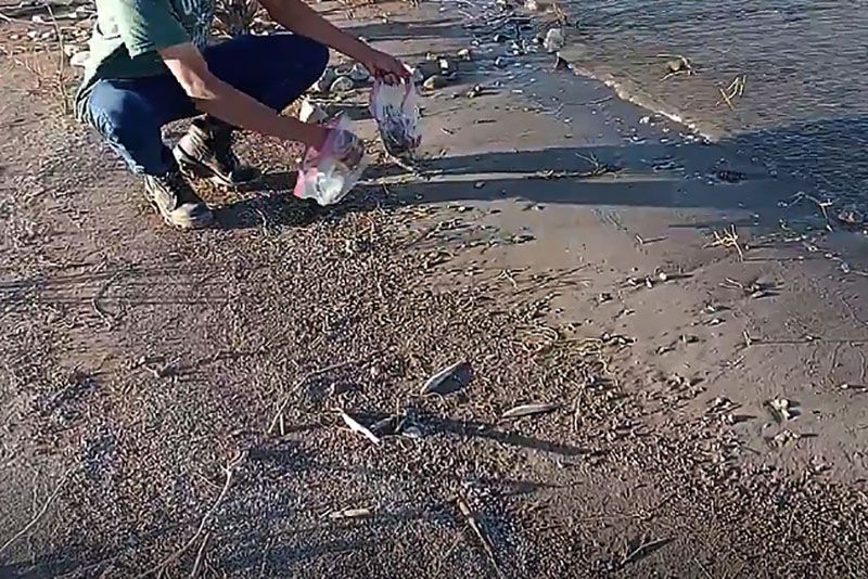 Peces muertos en San Juan: asambleas denunciaron un derrame minero y Ambiente dijo que fue un fenómeno natural 1 Peces muertos en San Juan: asambleas denunciaron un derrame minero y Ambiente dijo que fue un fenómeno natural