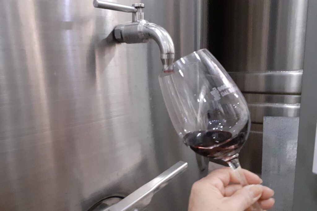 Enoturismo, una actividad presente en 17 provincias argentinas 4 Enoturismo, una actividad presente en 17 provincias argentinas