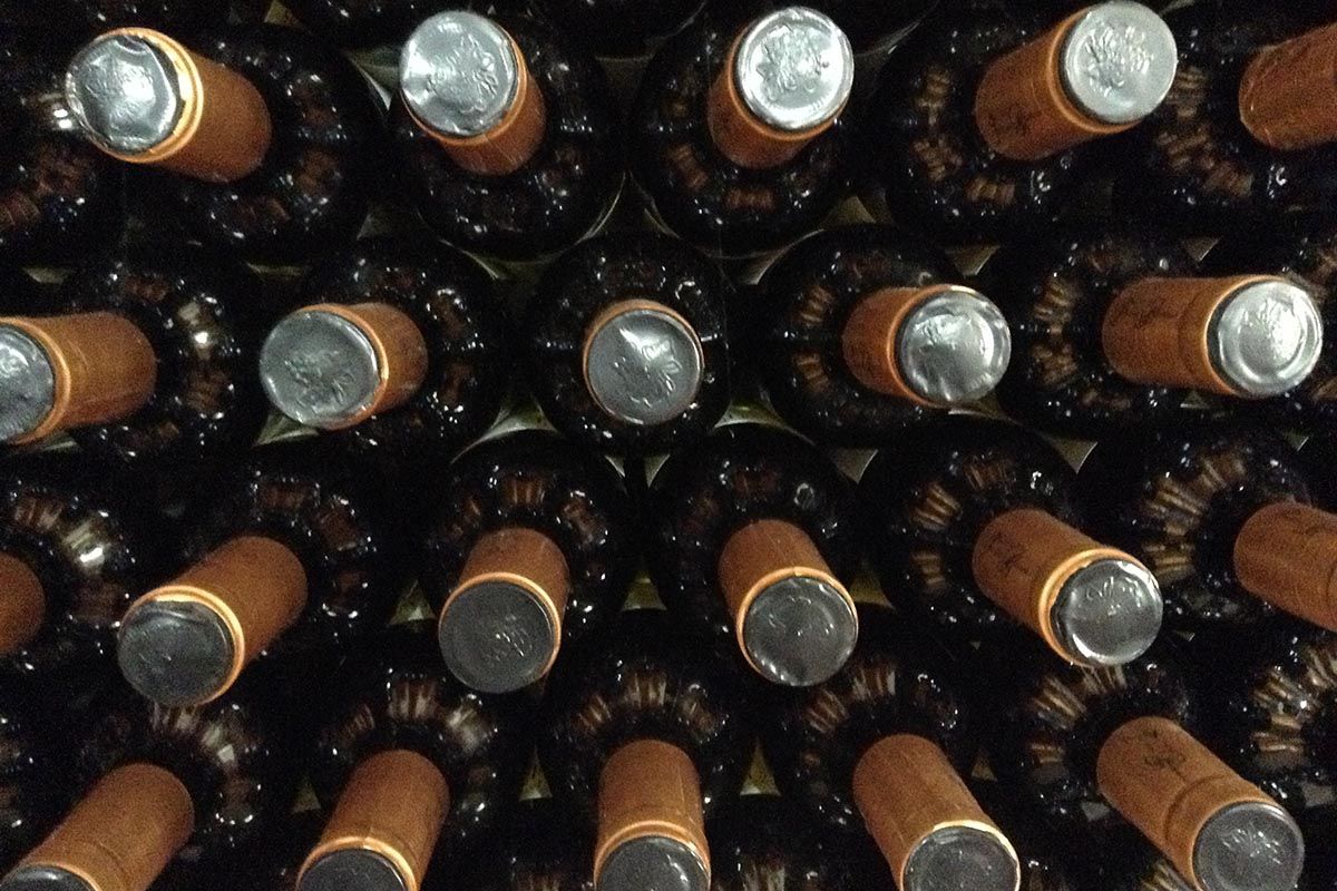 Menos controles para las bodegas: el Instituto Nacional de Vitivinicultura eliminó casi mil normas