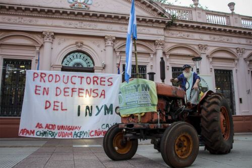 Decreto de Milei desregula yerba mate y golpea a productores