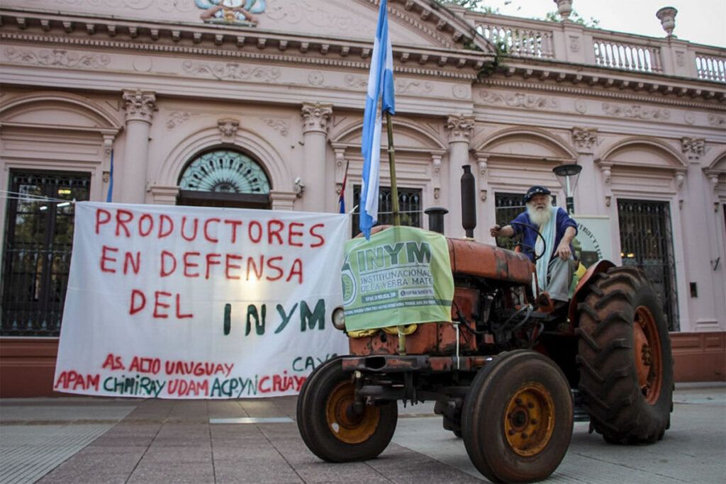 Misiones: productores de yerba reclaman mejoras en el precio y resolvieron parar la cosecha 