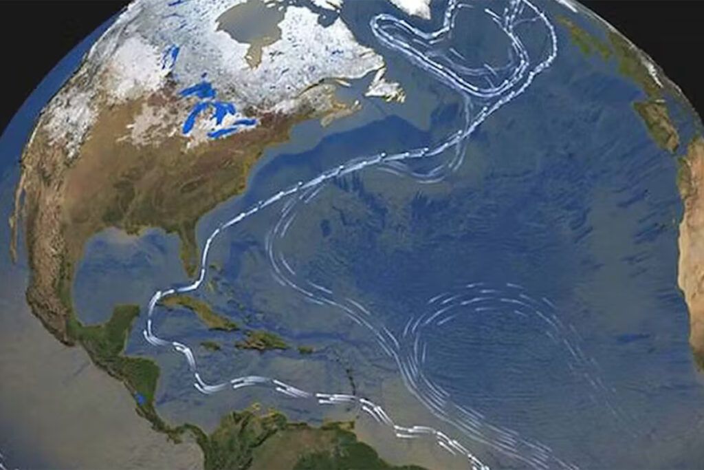 COP30 de Brasil: una cumbre incierta, pero imprescindible para la acción climática 1 COP30 de Brasil: una cumbre incierta, pero imprescindible para la acción climática