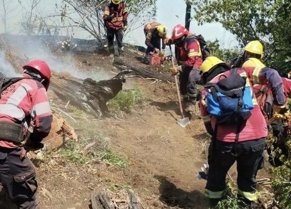 Incendios en la Patagonia: múltiples focos y situación grave en el paraje El Turbio 2 Incendios en la Patagonia: múltiples focos y situación grave en el paraje El Turbio
