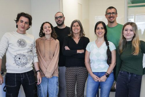 Crean un videojuego para la rehabilitación de personas que sufrieron un ACV