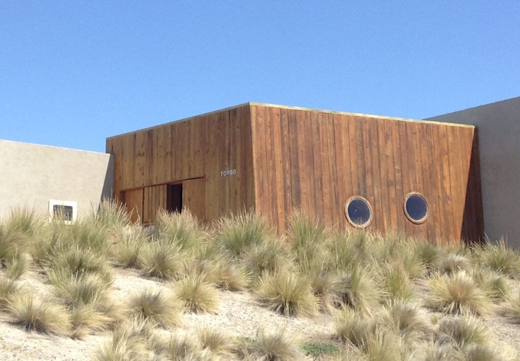 Temporada de pingüinos: dónde verlos y conocerlos