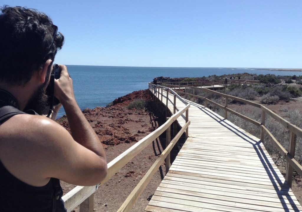 Temporada de pingüinos: dónde verlos y conocerlos