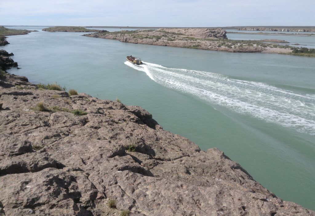 Temporada de pingüinos: dónde verlos y conocerlos