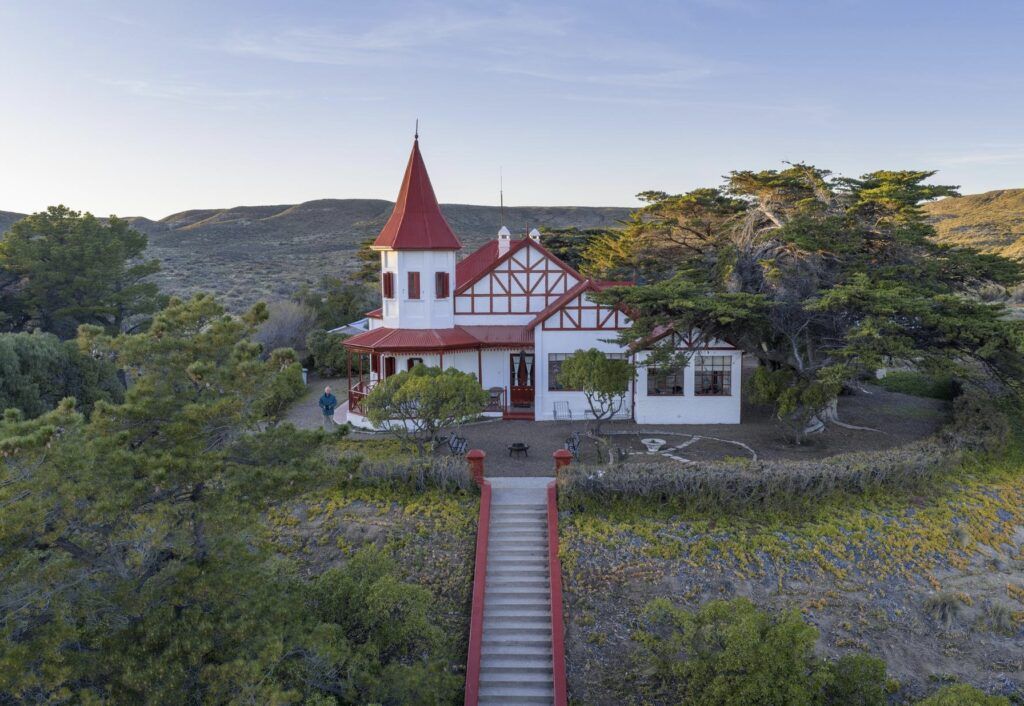 Temporada de pingüinos: dónde verlos y conocerlos