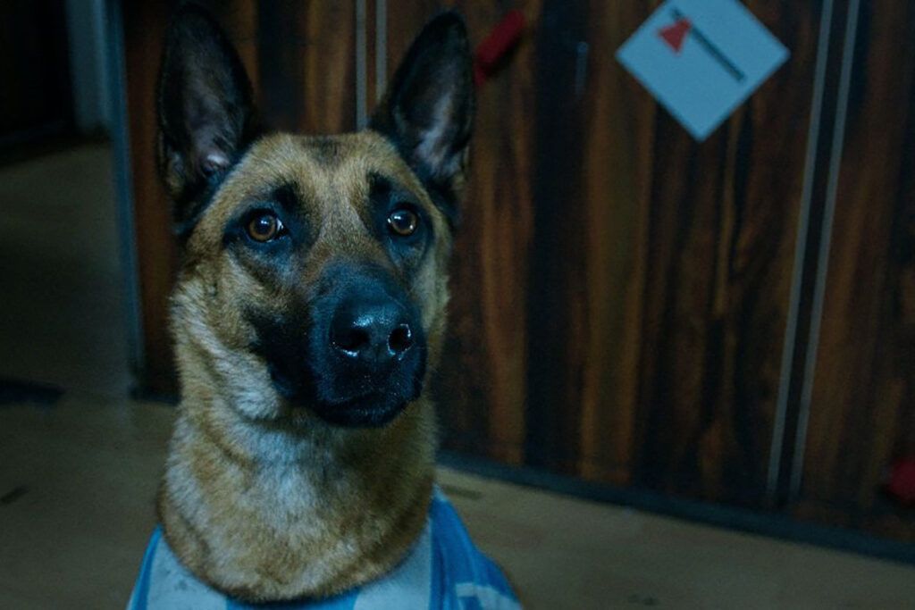 “Los ojos del abismo”: terror, Malvinas y una advertencia sobre este presente de crueldad y abandono 1 “Los ojos del abismo”: terror, Malvinas y una advertencia sobre este presente de crueldad y abandono