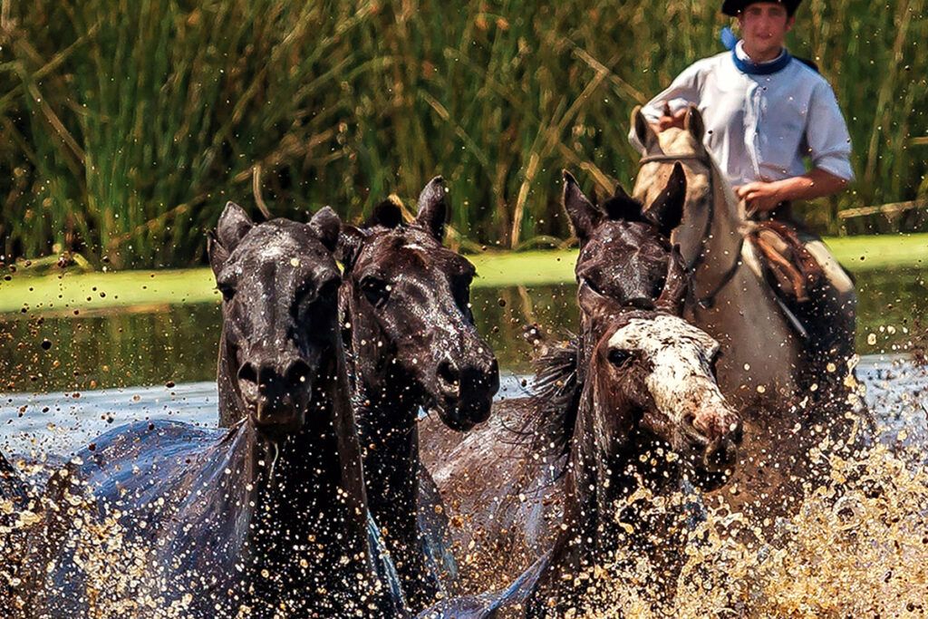 Fiestas y actividades más allá de Luján para el último fin de semana largo del 2025