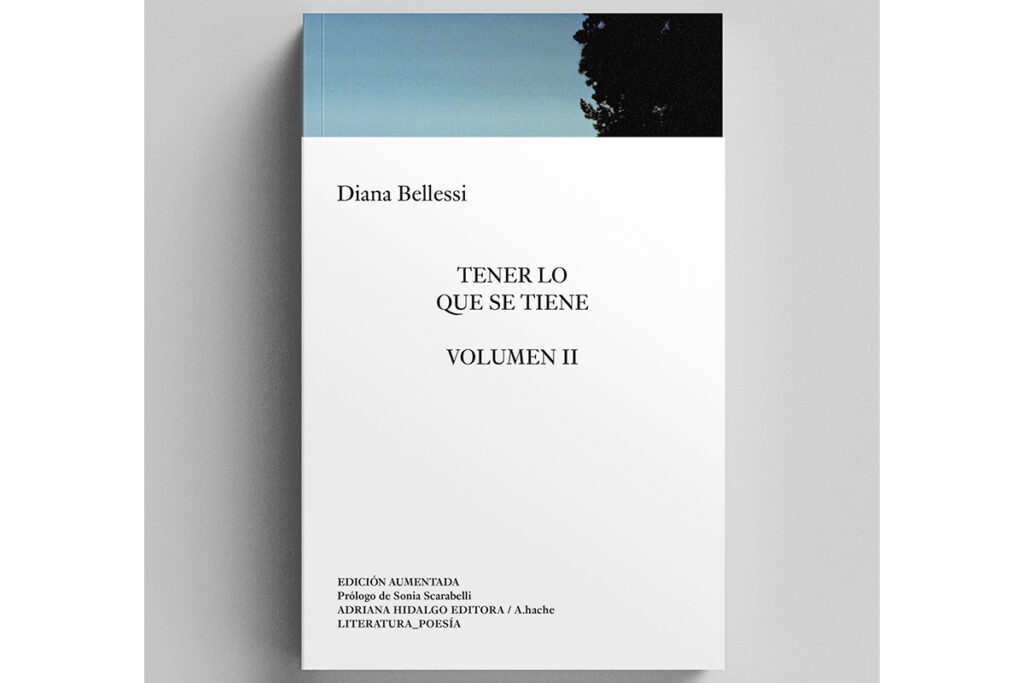 Diana Bellessi: "Cuatro versos locos generan todo un mundo"