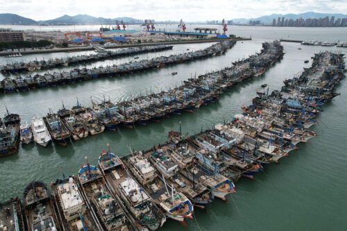 La pesca china y el otro juego del calamar