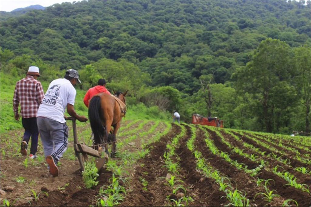 Trabajo y comunidad 3 Trabajo y comunidad