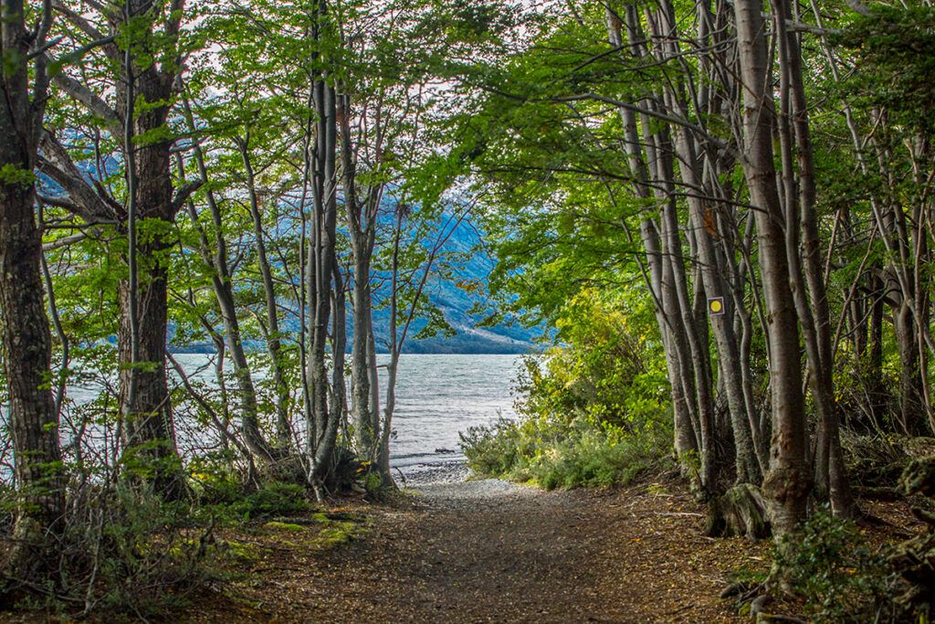 Los números del último finde largo del año: 70 por ciento de ocupación y 1,4 millones de viajeros 5 Los números del último finde largo del año: 70 por ciento de ocupación y 1,4 millones de viajeros