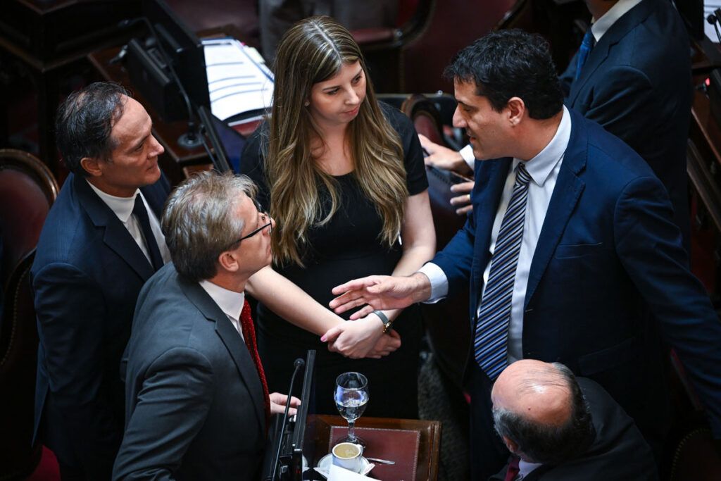 Presupuesto: uno por uno, los senadores aliados y del peronismo que votaron a favor del cuestionado Capítulo 2