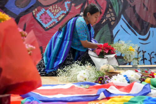 Vía Campesina: un movimiento global que debatió su agenda latinoamericana en México