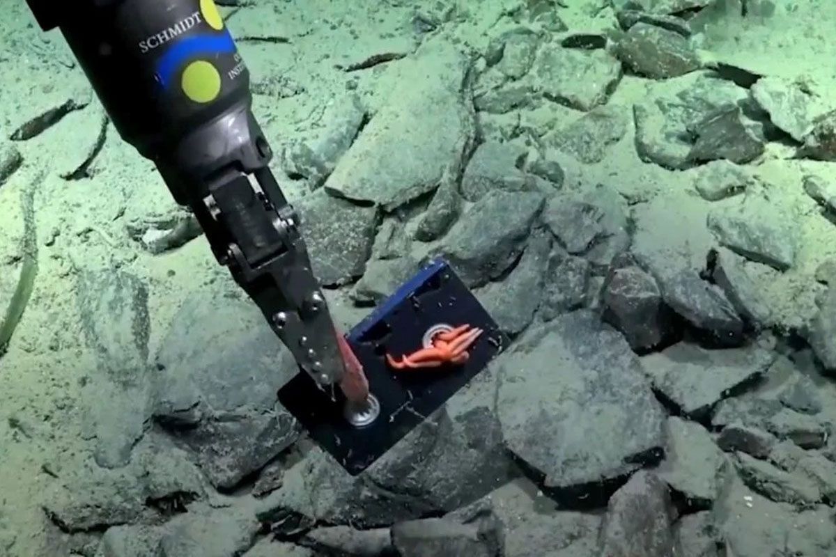 Una expedición en el Mar Argentino del CONICET encontró un VHS a unos 2.600 metros de profundidad