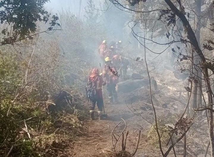 Incendios en la Patagonia: múltiples focos y situación grave en el paraje El Turbio 1 Incendios en la Patagonia: múltiples focos y situación grave en el paraje El Turbio