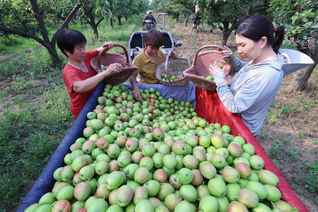 Una preocupación central en China: ¿corre peligro el alivio de la pobreza?