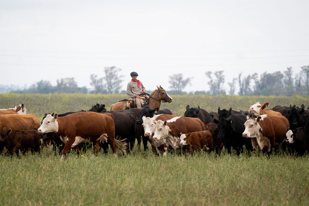 Metano: un problema que impacta en el ambiente y la salud, pero sin lugar en la agenda política del país 1 Metano: un problema que impacta en el ambiente y la salud, pero sin lugar en la agenda política del país