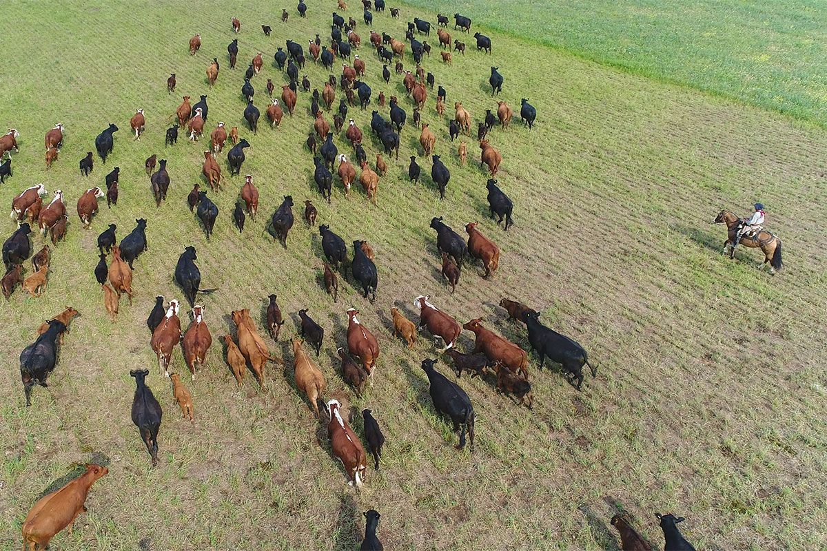 Metano: un problema que impacta en el ambiente y la salud, pero sin lugar en la agenda política del país