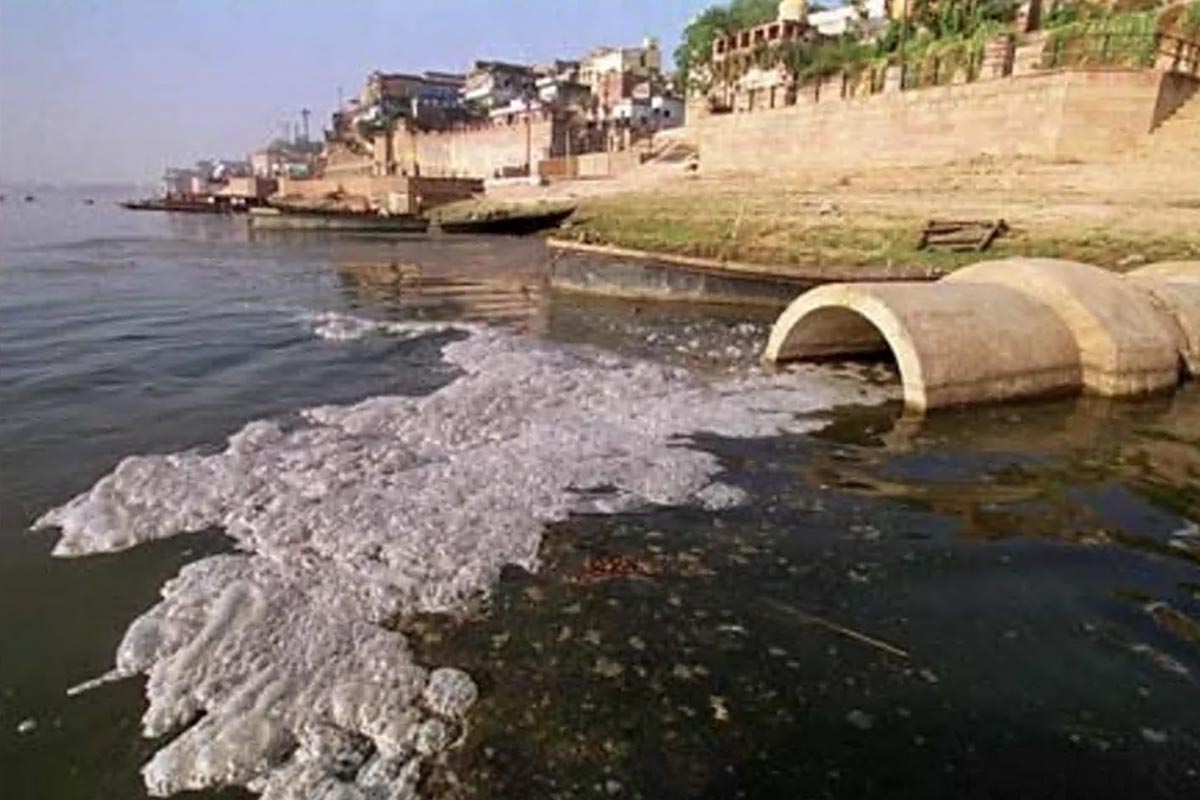 Contaminación por fármacos: confirman la presencia de viagra, paracetamol e ibuprofeno en el Río de la Plata