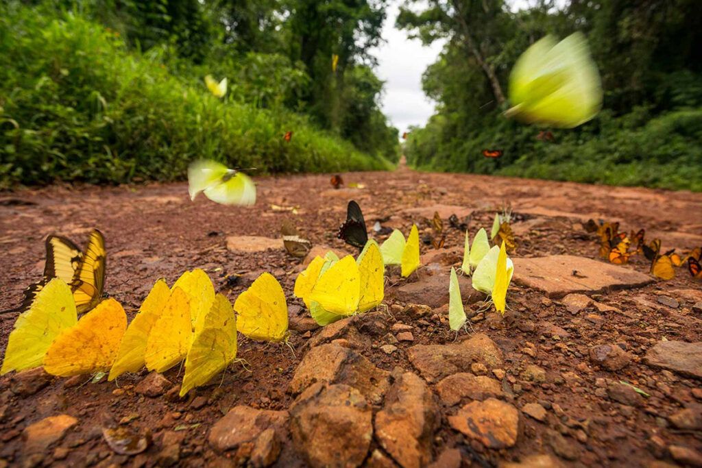 Los números del último finde largo del año: 70 por ciento de ocupación y 1,4 millones de viajeros 1 Los números del último finde largo del año: 70 por ciento de ocupación y 1,4 millones de viajeros