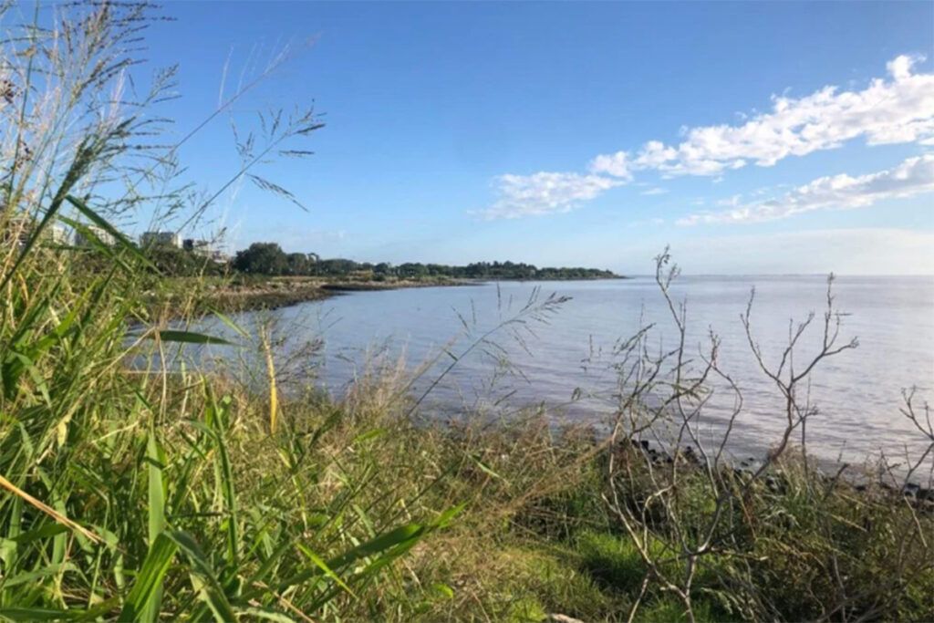 Vicente López: reclaman que no se renueve cesión de tierras a una escuela privada y sean destinadas a un espacio público frente al río 2 Vicente López: reclaman que no se renueve cesión de tierras a una escuela privada y sean destinadas a un espacio público frente al río