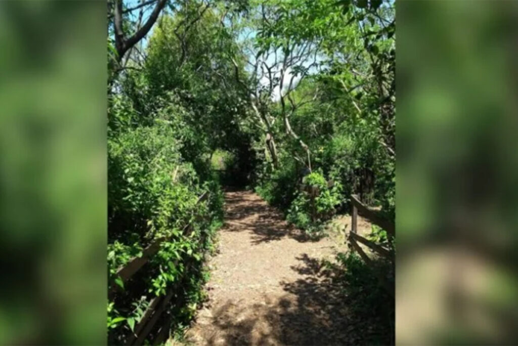 Vicente López: reclaman que no se renueve cesión de tierras a una escuela privada y sean destinadas a un espacio público frente al río 3 Vicente López: reclaman que no se renueve cesión de tierras a una escuela privada y sean destinadas a un espacio público frente al río