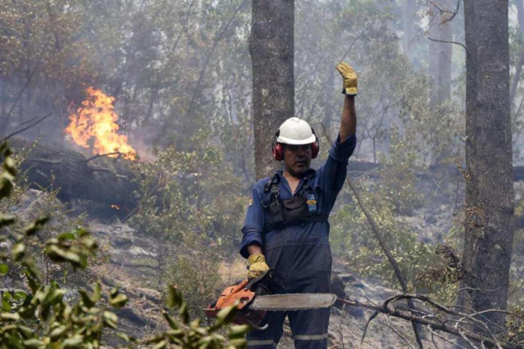 Fuego en la Patagonia: brigadas comunitarias y vecinos organizados sostienen lo que el Gobierno abandona
