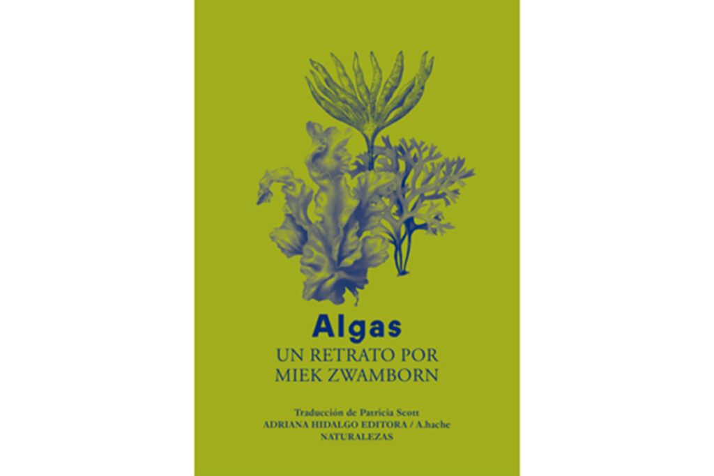 Libros del verano: los recomendados de la semana