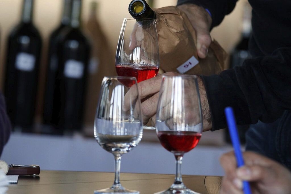 Experiencia para los sentidos: viaje de culto al mundo de los viñedos bonaerenses