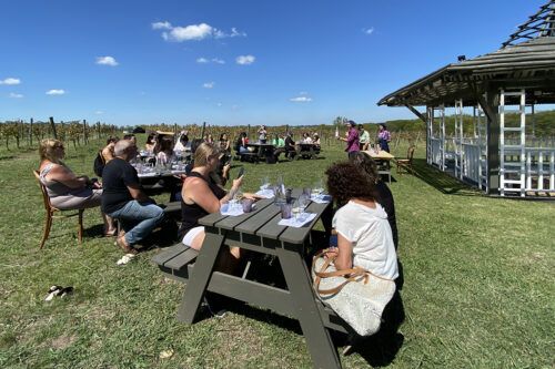 Experiencia para los sentidos: viaje de culto al mundo de los viñedos bonaerenses