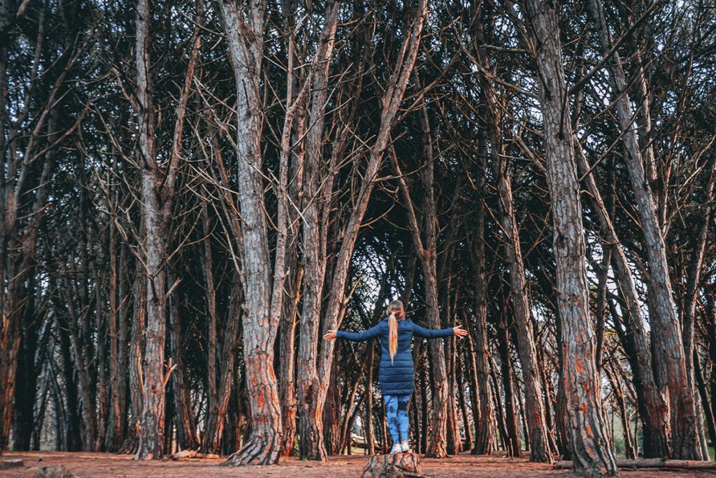 Nueve opciones para disfrutar cerca del mar 5 Nueve opciones para disfrutar cerca del mar