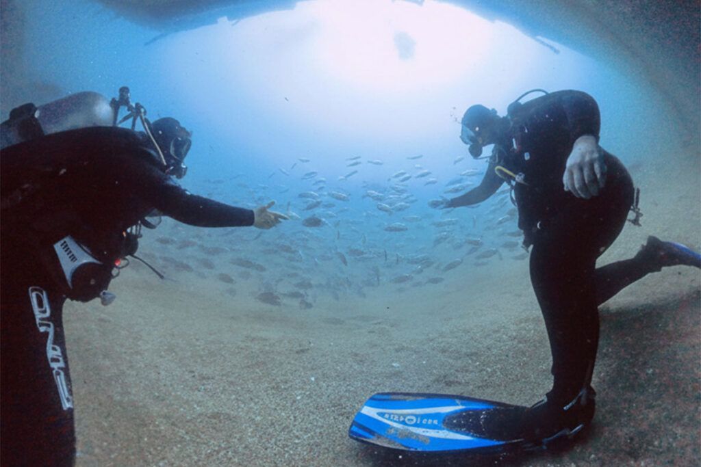 Una visita por el misterioso mundo del mar
