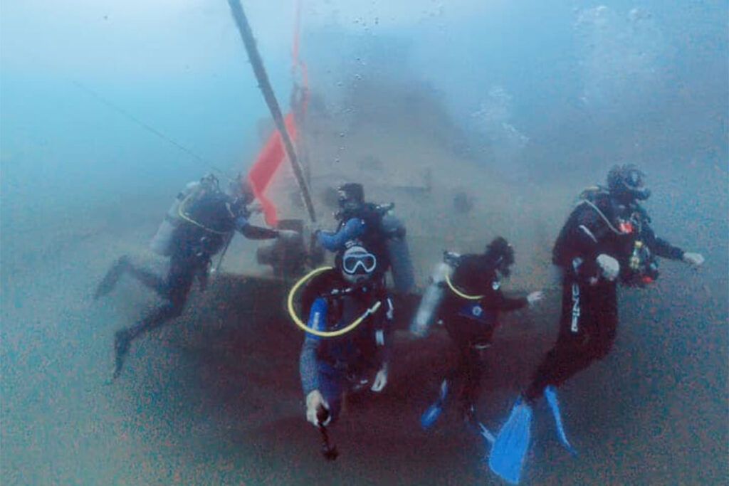 Una visita por el misterioso mundo del mar