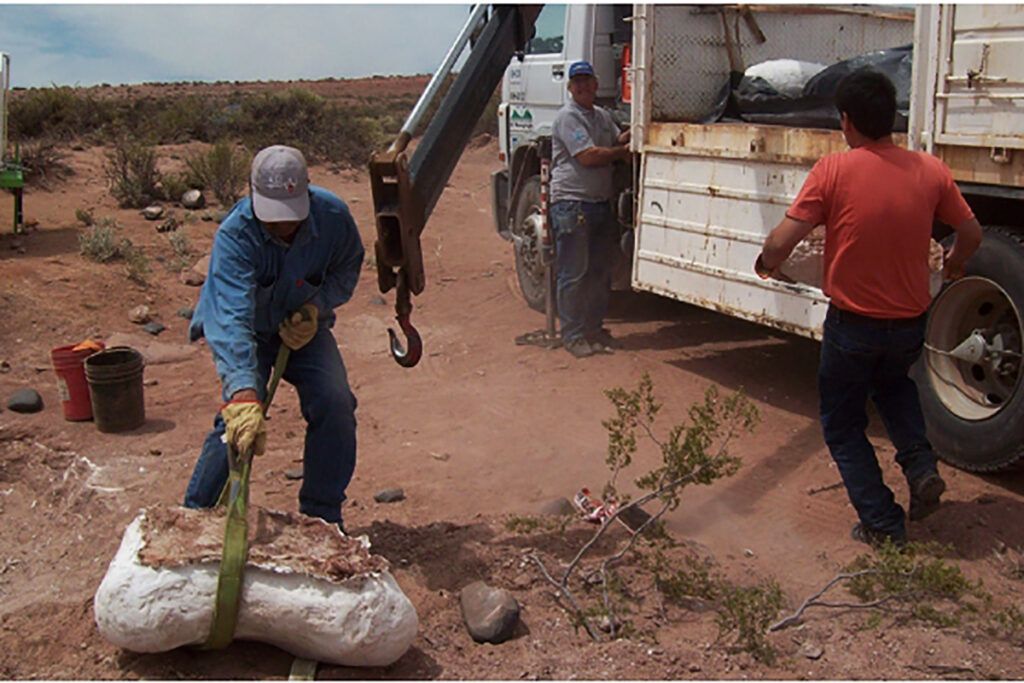 Descubren a Yeneen Houssayi, una nueva especie de dinosaurio que vivió hace 83 millones de años